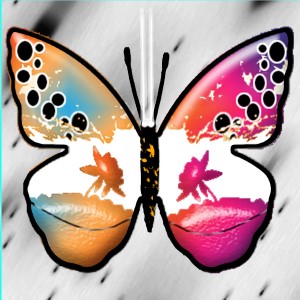 butterflies: 1110