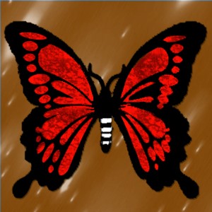 butterflies: 14