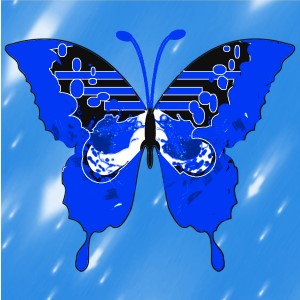 butterflies: 1593