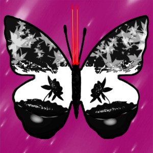 butterflies: 952