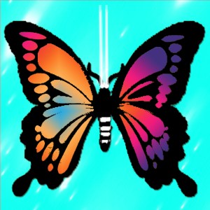butterflies: 1041