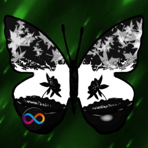 butterflies: 1415
