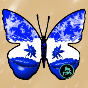 butterflies: 948