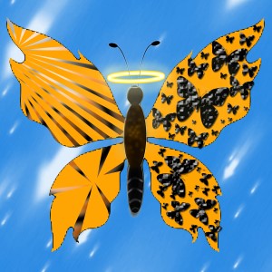 butterflies: 1597