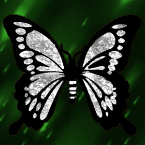 butterflies: 1011