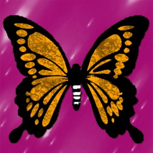 butterflies: 349