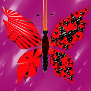 butterflies: 1240