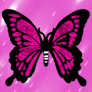 butterflies: 739