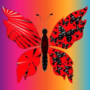 butterflies: 1788