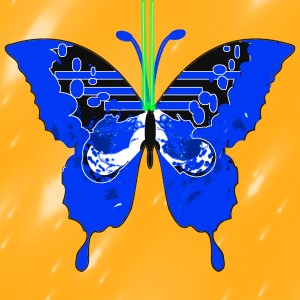 butterflies: 1015