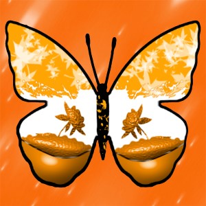 butterflies: 408