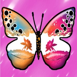 butterflies: 2167