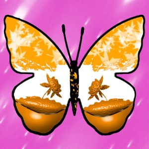 butterflies: 1650