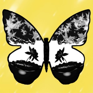 butterflies: 554