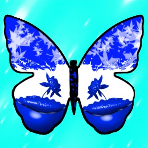 butterflies: 404