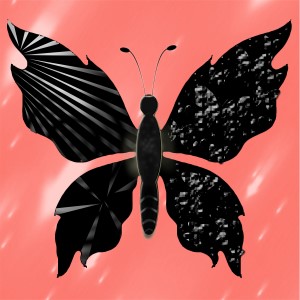 butterflies: 747