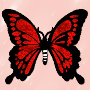 butterflies: 889