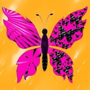 butterflies: 341