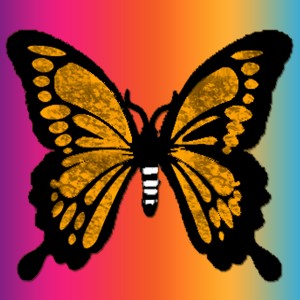 butterflies: 1293