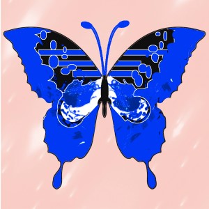 butterflies: 688