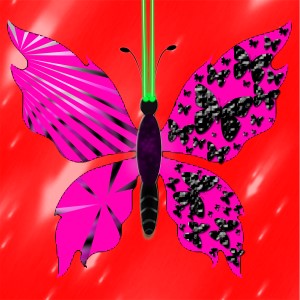 butterflies: 763