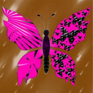 butterflies: 1167