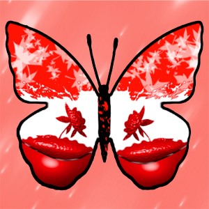 butterflies: 810