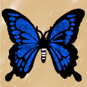 butterflies: 1163