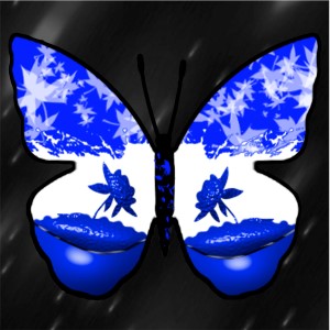 butterflies: 325