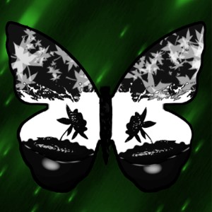 butterflies: 1374