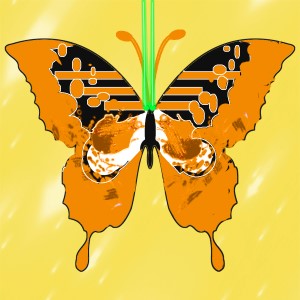 butterflies: 1003