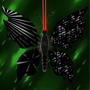 butterflies: 1638