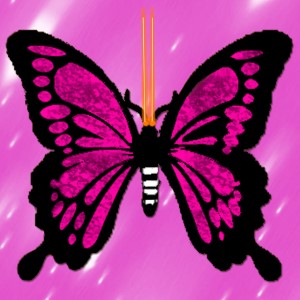 butterflies: 637