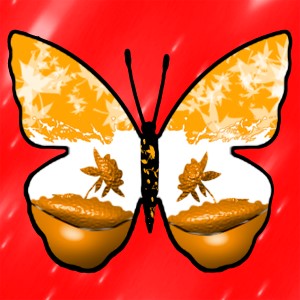 butterflies: 1098