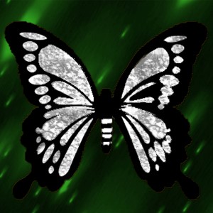 butterflies: 2147