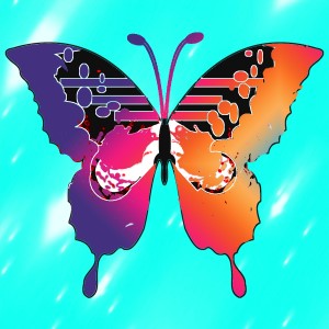 butterflies: 1504