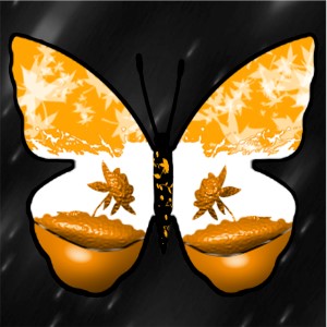 butterflies: 2084