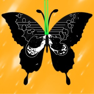 butterflies: 18