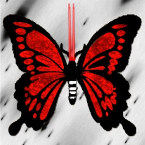 butterflies: 944
