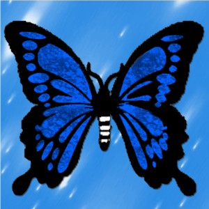 butterflies: 570
