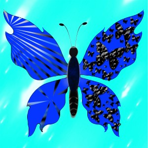 butterflies: 1007