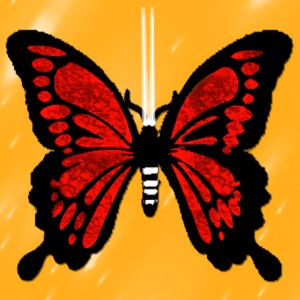 butterflies: 451