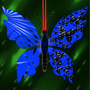 butterflies: 85