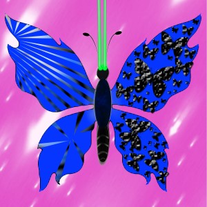 butterflies: 802