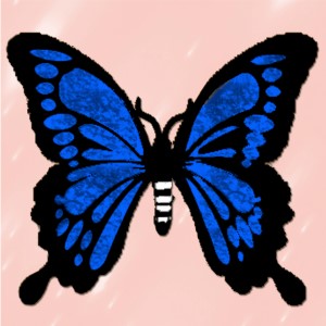 butterflies: 333