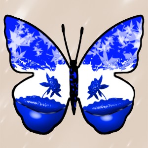 butterflies: 755