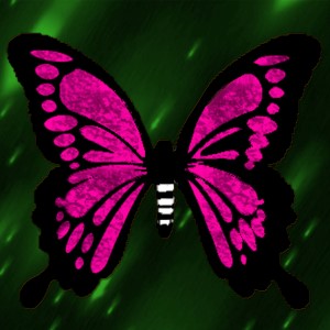 butterflies: 1224