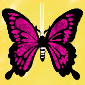 butterflies: 266