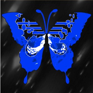 butterflies: 1707