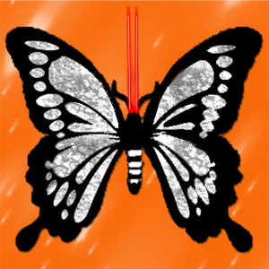 butterflies: 30